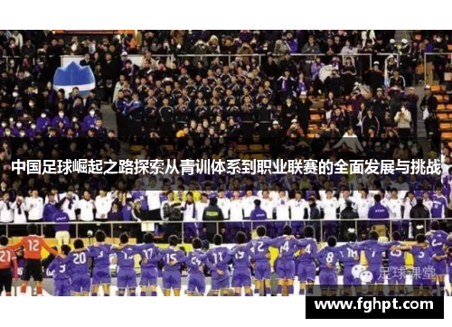 中国足球崛起之路探索从青训体系到职业联赛的全面发展与挑战