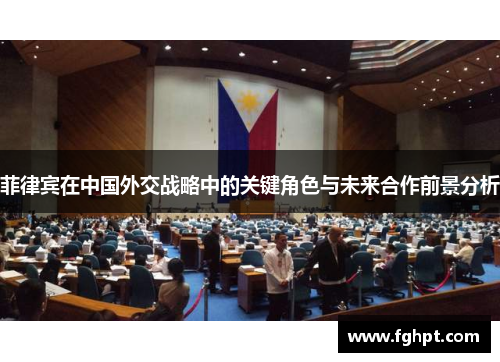 菲律宾在中国外交战略中的关键角色与未来合作前景分析